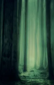 Deep work